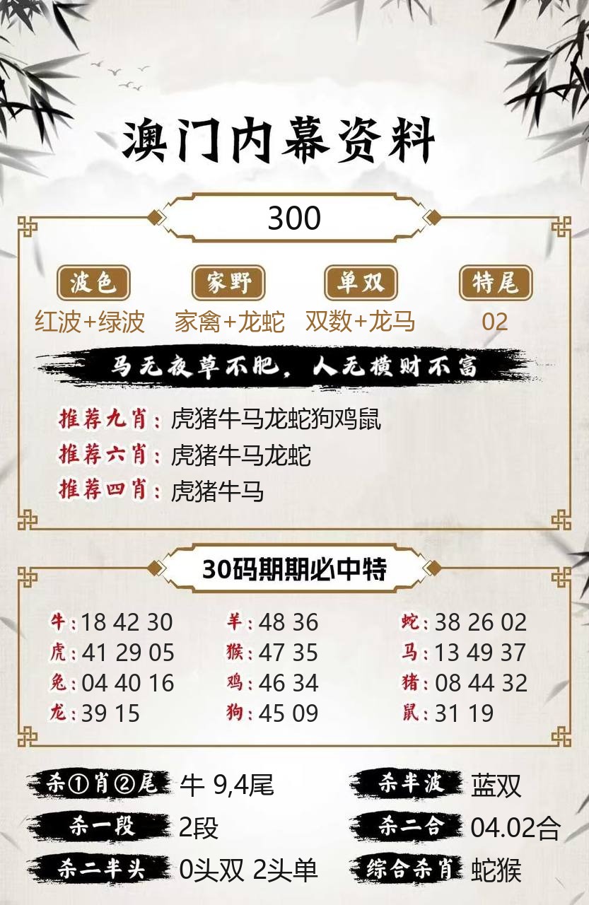 管家婆新澳门内幕资料模板
